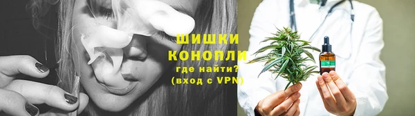 альфа пвп Медвежьегорск