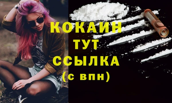 альфа пвп Медвежьегорск