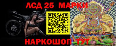 стафф Новокубанск