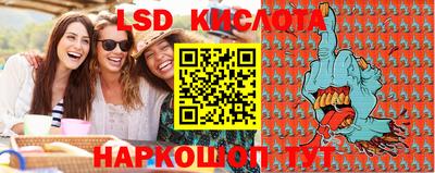 прущие крисы Новозыбков