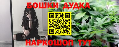 прущие крисы Новозыбков
