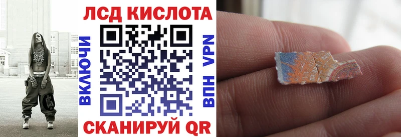 дарнет шоп  Тында  Наркотические марки 1,5мг 