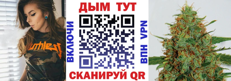 как найти MEGA ONION Каннабис сатива Тында